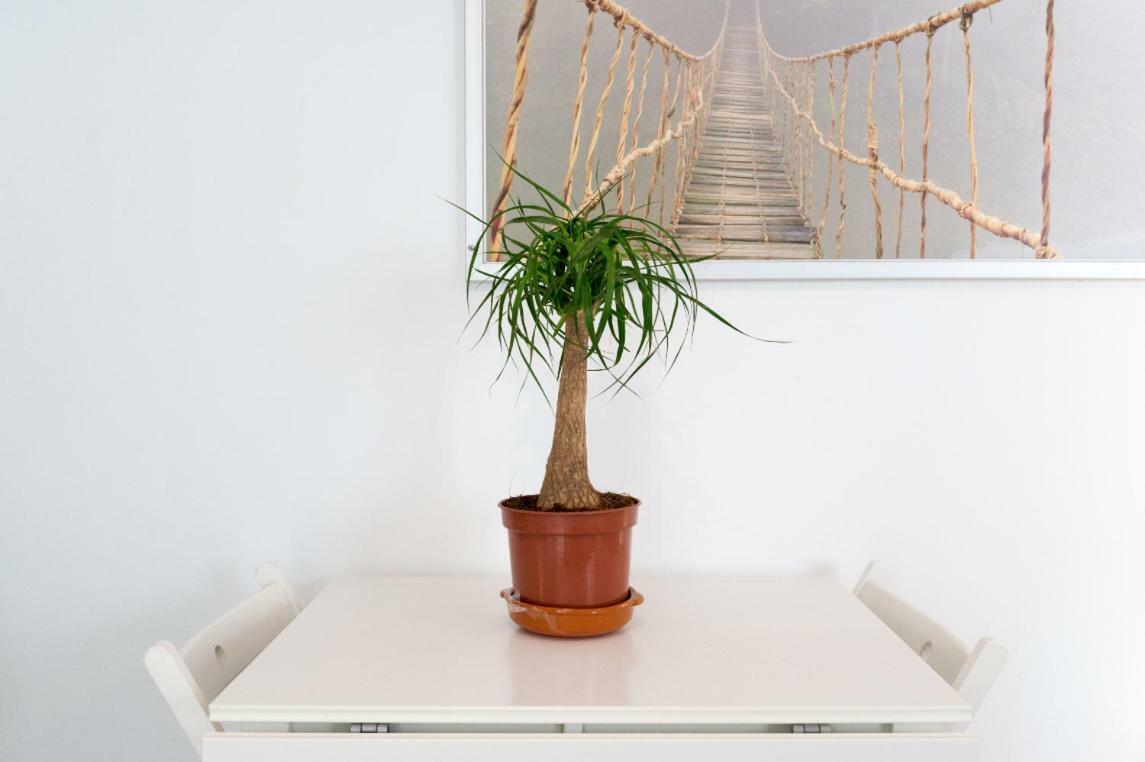 Ml1C-Prime Location Marble Apartment With Patios Malaga Exterior photo